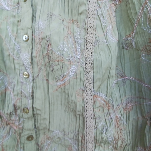 Muted Green blouse with lace and blouse with lace and embroidered details - Picture 3 of 7